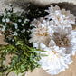Gypsophila Bush