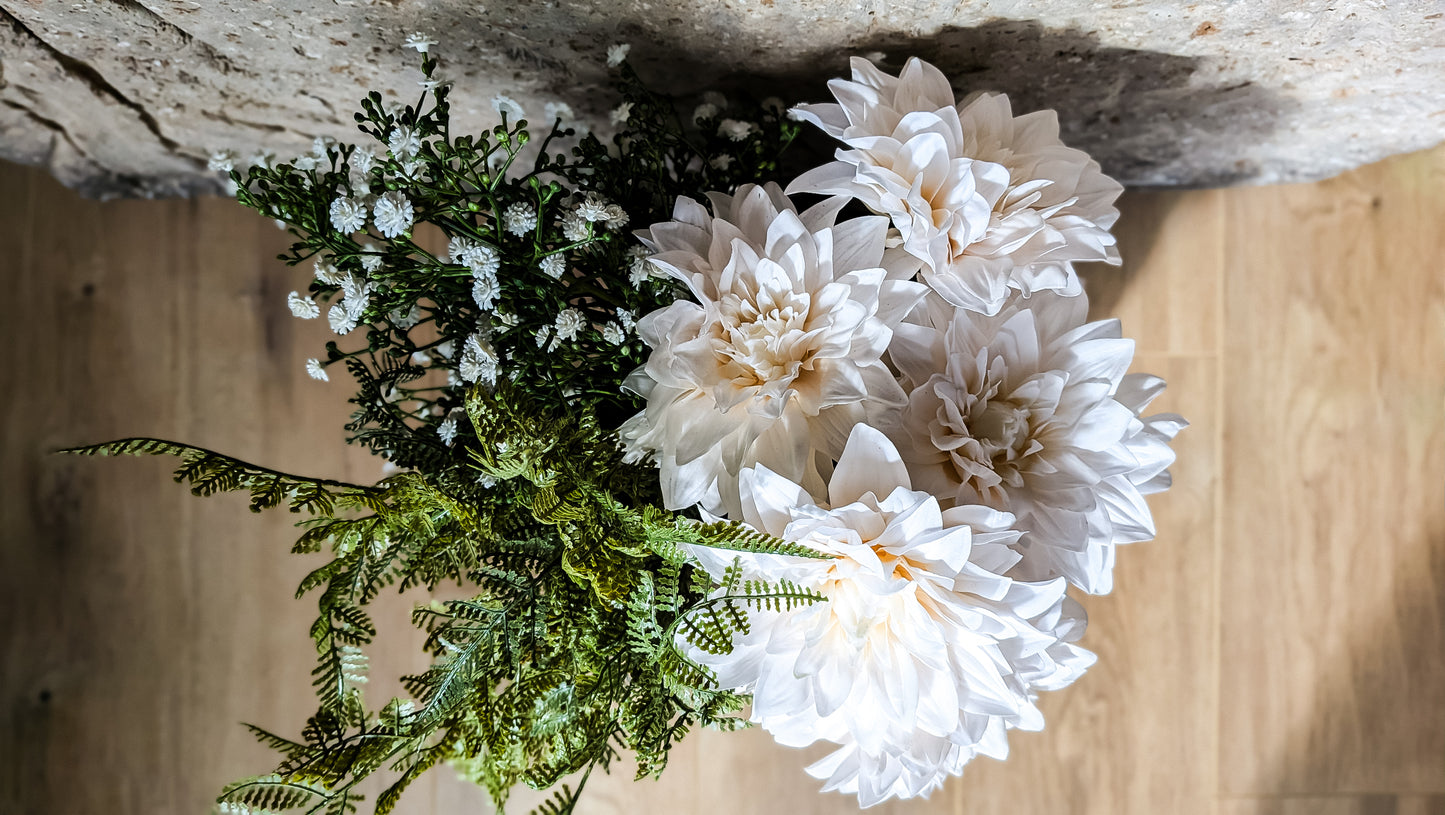 Gypsophila Bush