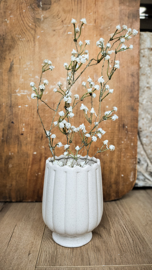 Andeno Vase