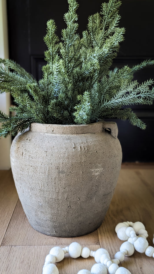 Winter's Blue Spruce Stem