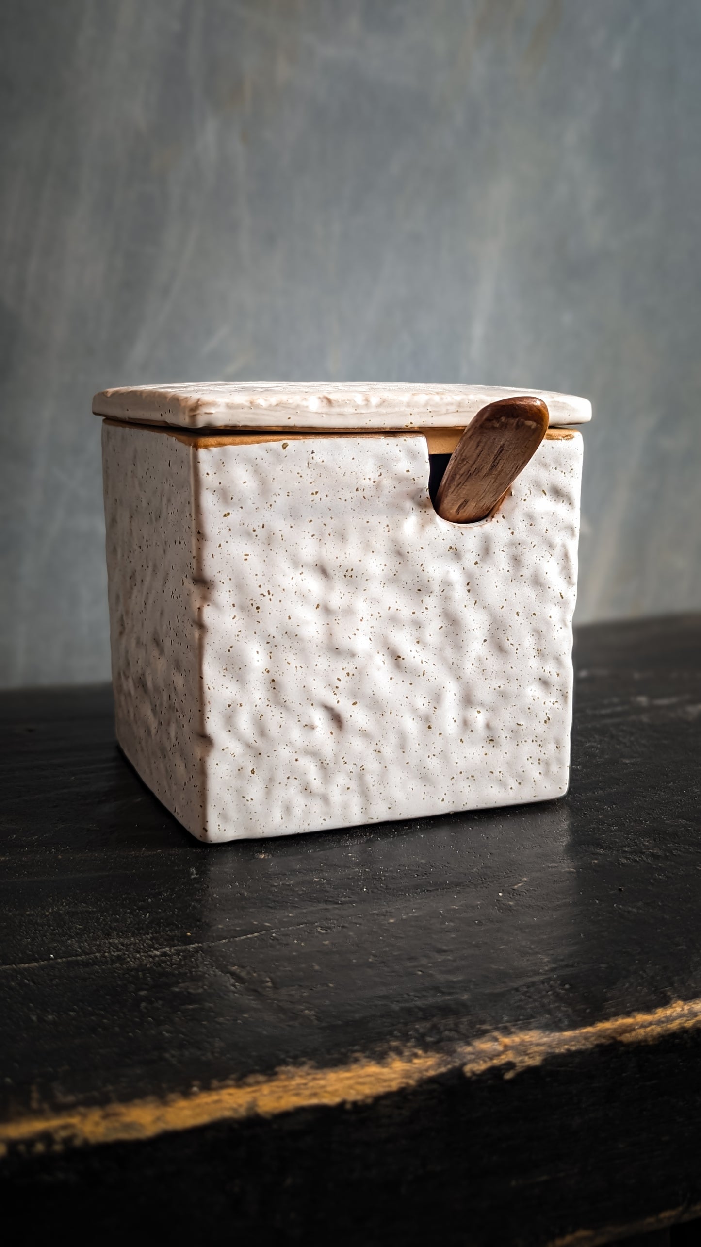 Stoneware Salt Jar w/ Spoon