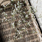 Wild Baby's Breath Stem