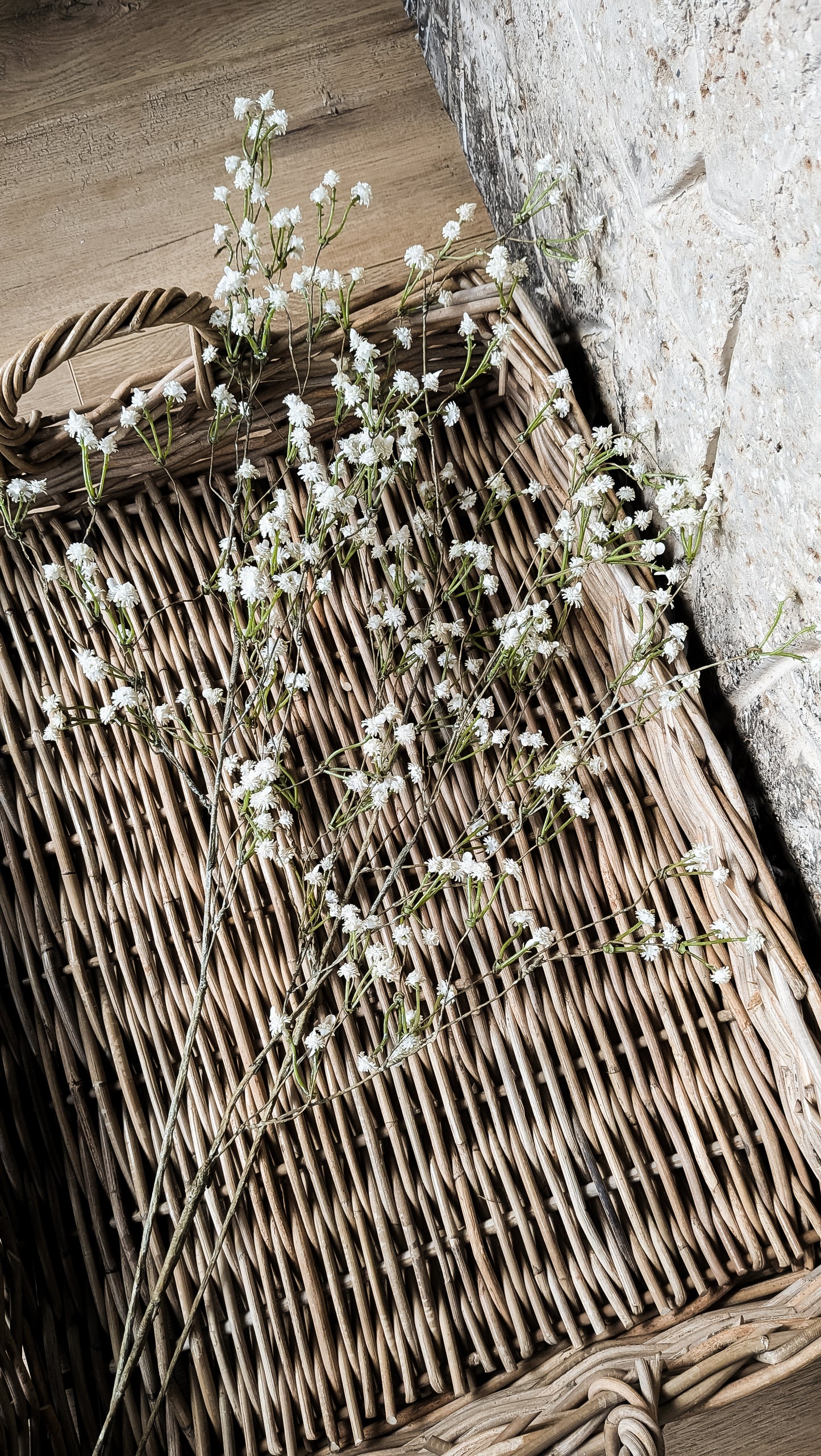 Wild Baby's Breath Stem