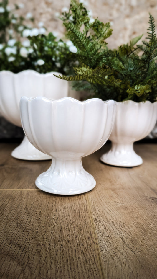 Meryl Compote