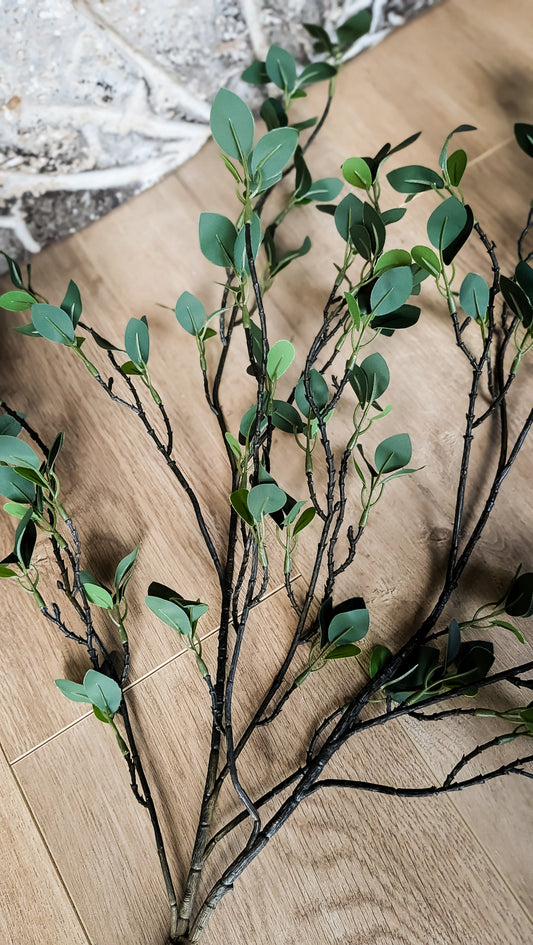 Fresh Cut Branch