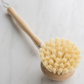Long Handle Dish Brush